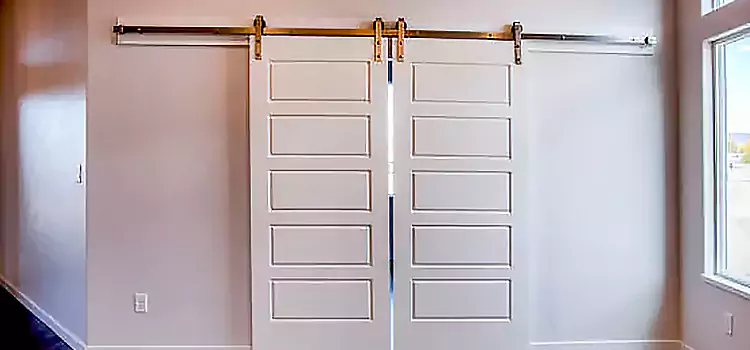 Glass Barn Door with Installation Hardware Kit Newport News