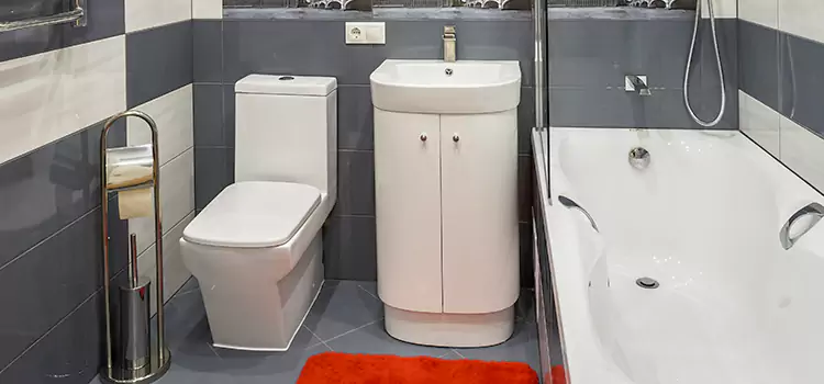 Hansgrohe Shaving Mirror Newport News